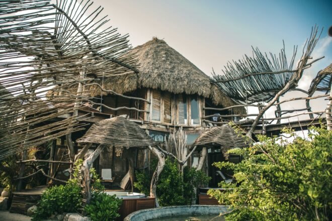 wood building with thatched roof near palm trees