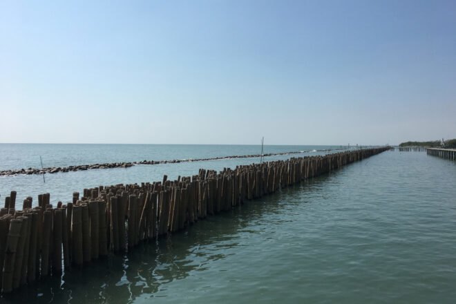 bamboo dam in the ocean