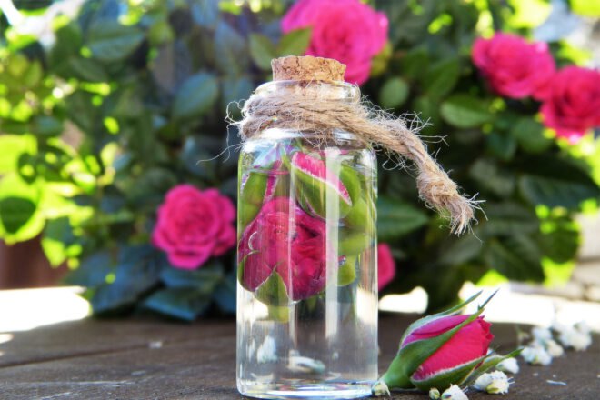 glass jar with water and rose inside