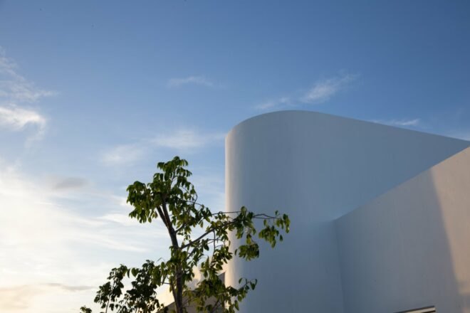 white cylindrical volume with tree