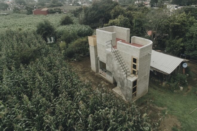 concrete and rammed earth home surrounded by plants