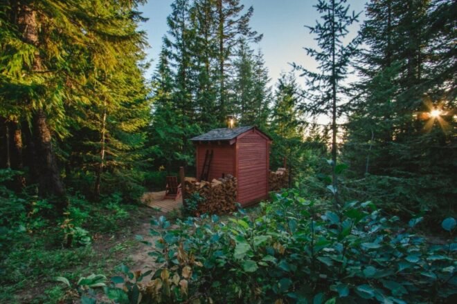 tiny hut with pitched roof surrounded by greenery