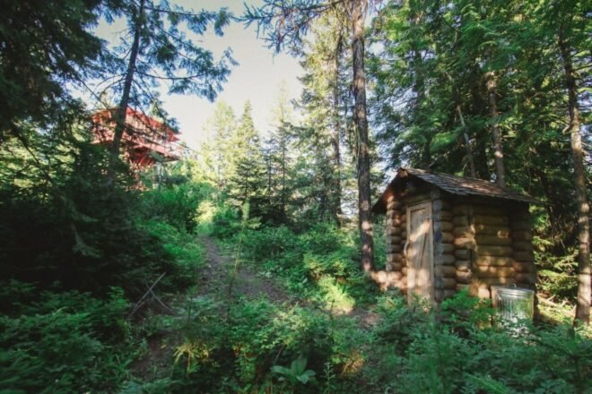 tiny hut with pitched roof surrounded by greenery