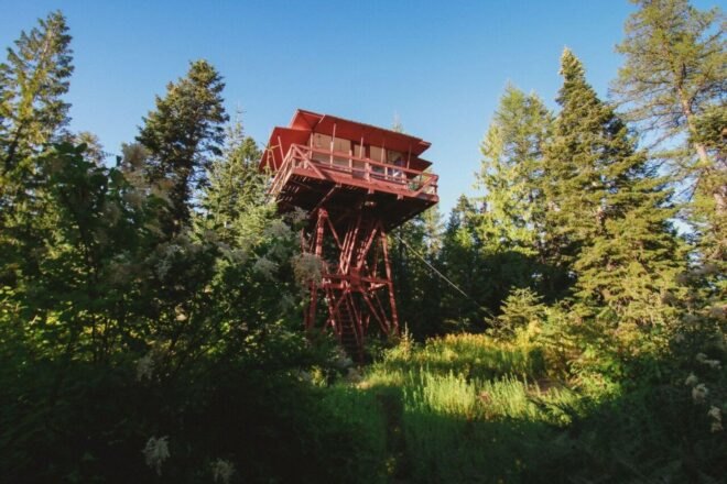 Red lookout tower surrounded by greenery