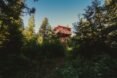 Red lookout tower in a forest