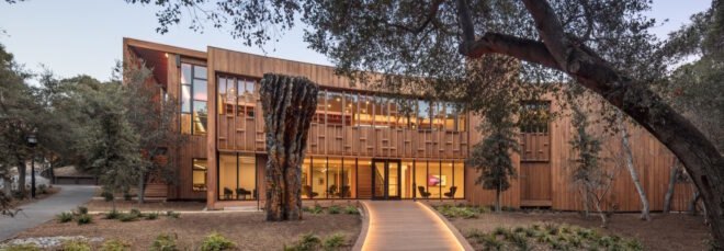 building clad in oak surrounded by greenery with an illuminated walkway