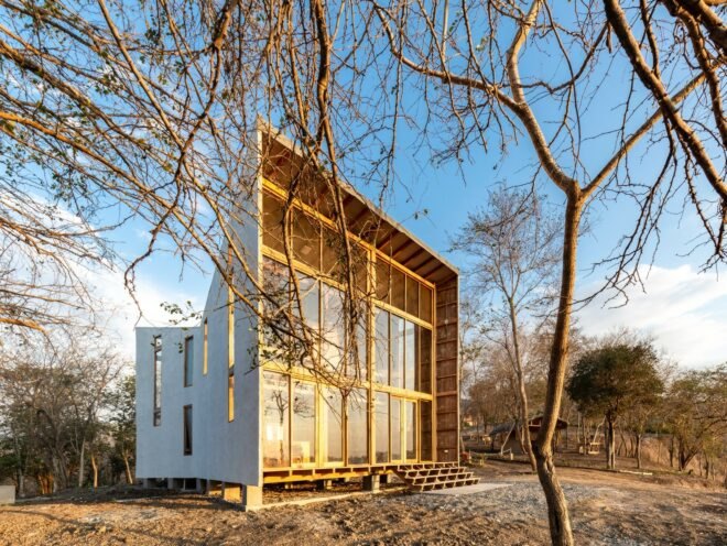 funnel-shaped wooden cabin in a forest