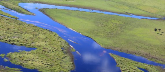 aerial view of the Florida everglades