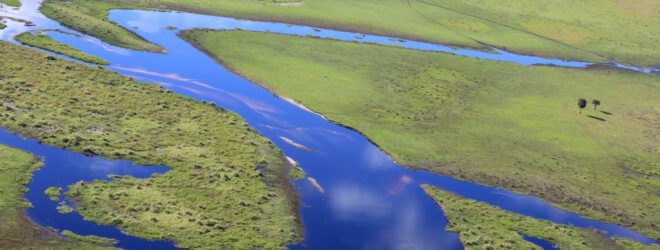 aerial view of the Florida everglades