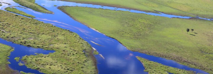 aerial view of the Florida everglades