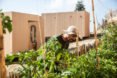 man with hat gardening
