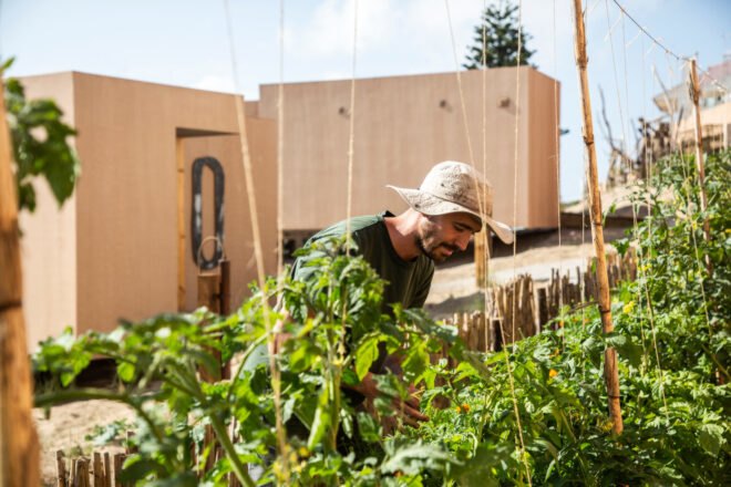 man with hat gardening