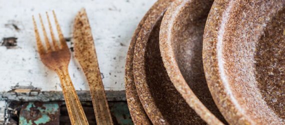 brown biodegradable tableware