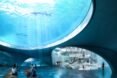 rendering of aquarium