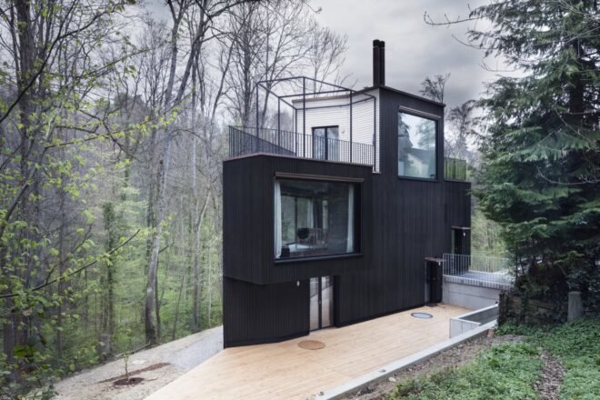 triangular charred timber home in forest