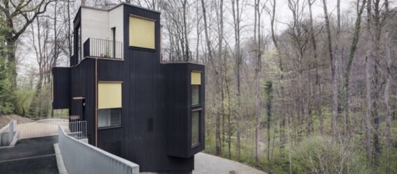 triangular charred timber home in forest