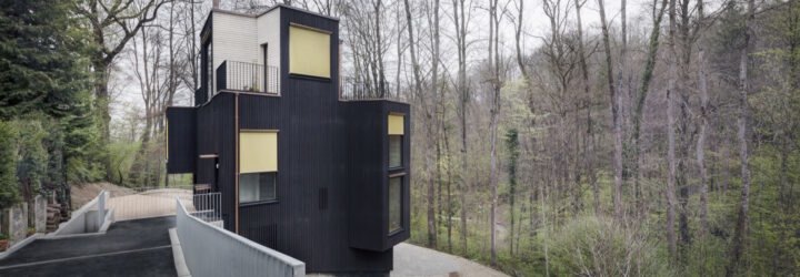 triangular charred timber home in forest