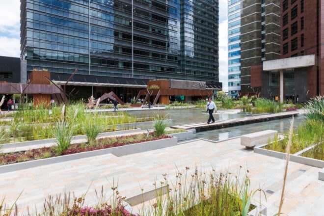 people walking on wooden paths above an urban wetland