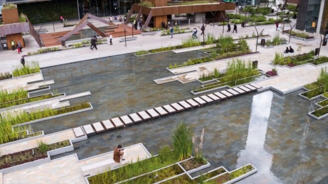 urban wetland with greenery and wooden walkways