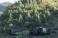 lush trees behind charred black cabins