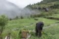 man gardening with black cabins in the distance