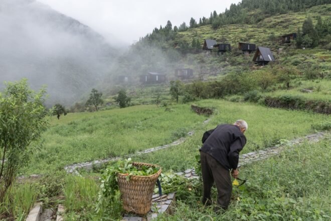 man gardening with black cabins in the distance