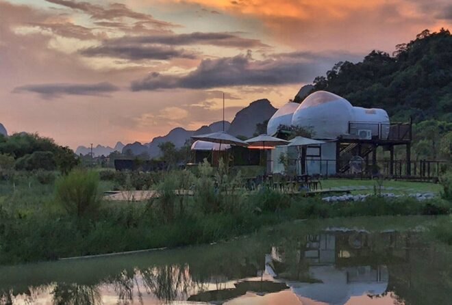 white bubble domes surrounded by greenery