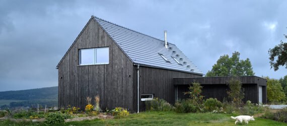 passive house surrounded by greenery and three white dogs