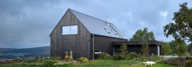 passive house surrounded by greenery and three white dogs