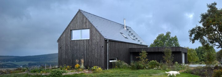 passive house surrounded by greenery and three white dogs