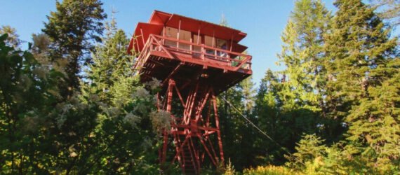 Red lookout tower surrounded by greenery