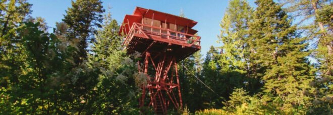 Red lookout tower surrounded by greenery