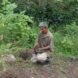 person leaning down and planting a young tree