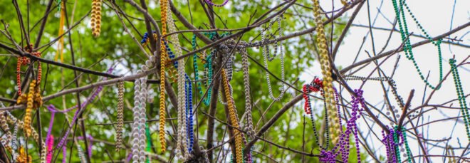 colorful plastic beads hanging off of a tree