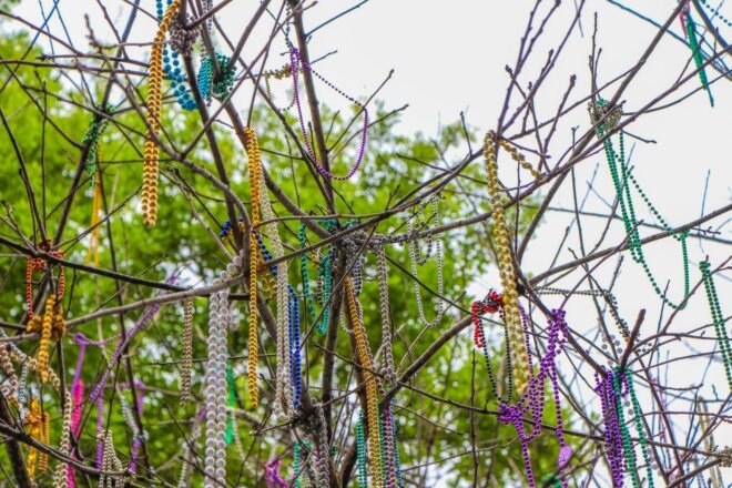 colorful plastic beads hanging off of a tree