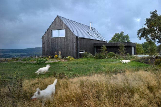 passive house surrounded by greenery and three white dogs