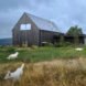 passive house surrounded by greenery and three white dogs
