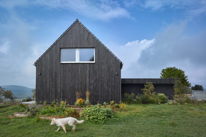 passive house surrounded by greenery and three white dogs