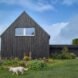 passive house surrounded by greenery and three white dogs