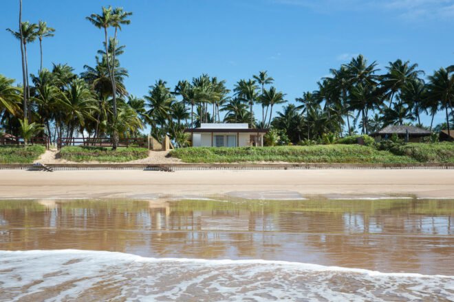 beach house nestled next to palm trees near ocean waves