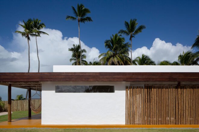 Side of the house with a white wall and exposed twigs with palm trees in the background