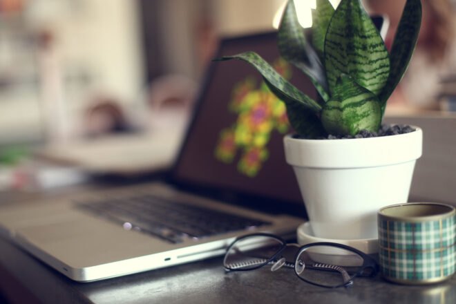 office with laptop and plant on desk