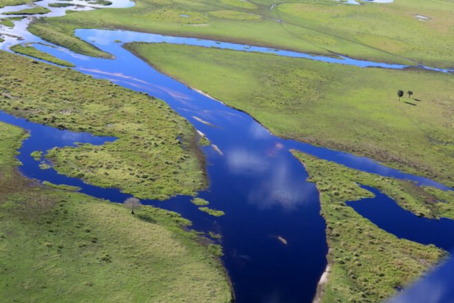 aerial view of the Florida everglades