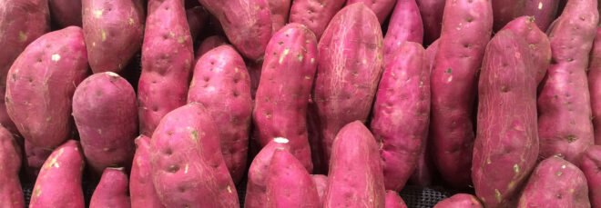 dark red sweet potatoes