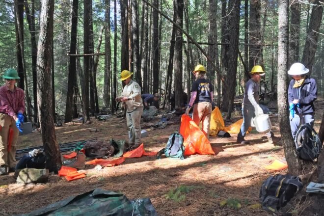 people cleaning up pollution in a forest