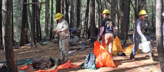 people cleaning up pollution in a forest