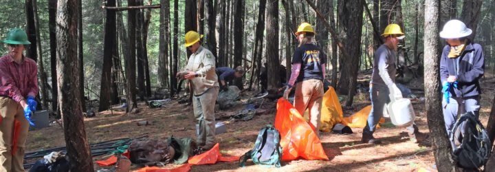 people cleaning up pollution in a forest