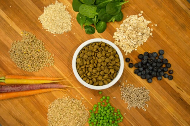 aerial view of vegan pet food surrounded by whole grains and vegetables