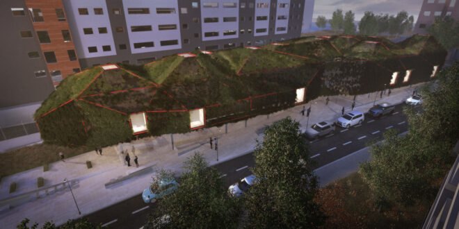 building covered in creeping vines