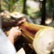 person cutting banana plants